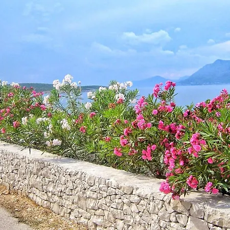 Apartment Gracin By Interhome Povlja (Brac)